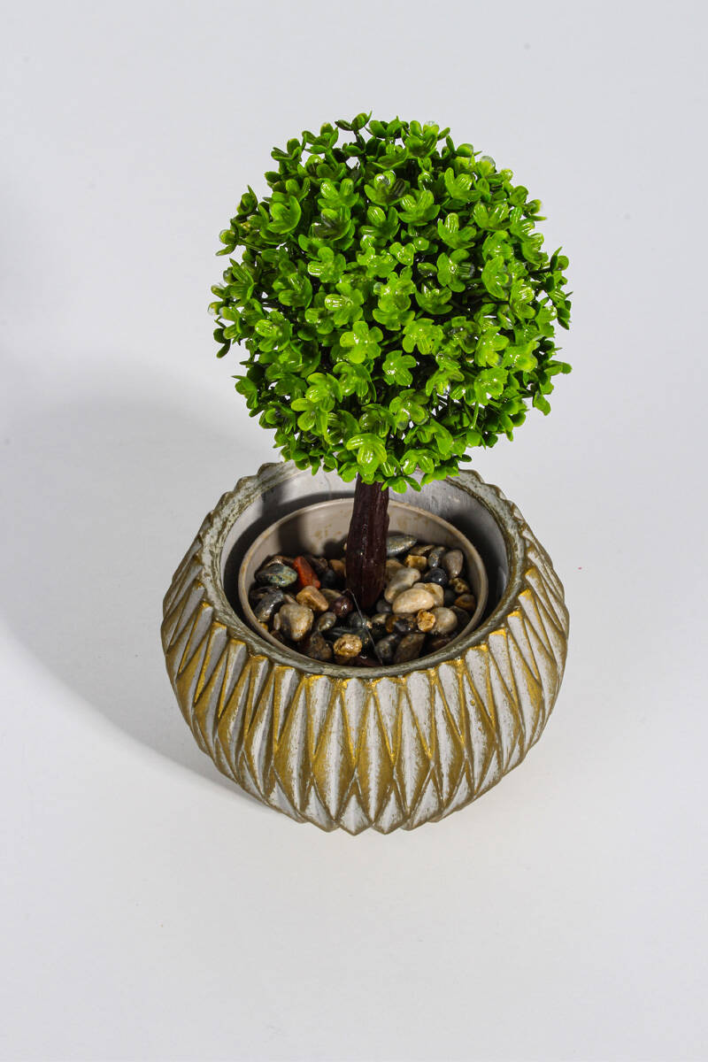 Yuvarlak Desenli Sukulent Beton Taş Tozu Silikon Kalıbı KHB34 - 2