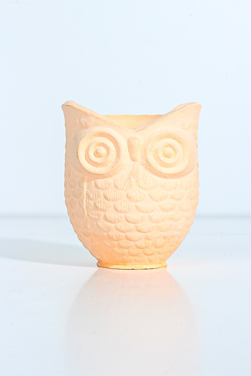 Baykuş Figür Sukulent Beton Saksı Silikon Kalıbı KHB64 - 