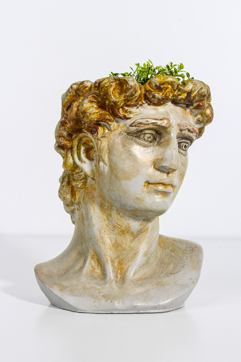 Sezar Büst Büyük Sukulent Beton Taş Tozu Silikon Kalıbı KHB55 - 