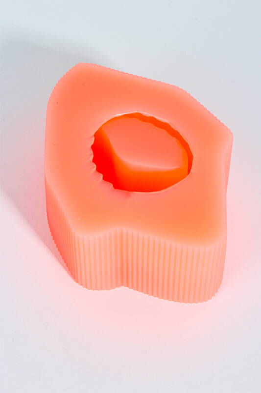 Deniz Kabuğu Dekoratif Biblo Beton Taş Tozu Silikon Kalıbı KHB126 - 5