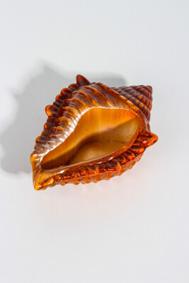 Deniz Kabuğu Dekoratif Biblo Beton Taş Tozu Silikon Kalıbı KHB126 - 4