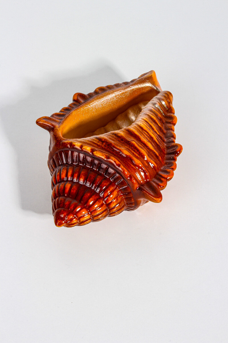 Deniz Kabuğu Dekoratif Biblo Beton Taş Tozu Silikon Kalıbı KHB126 - 