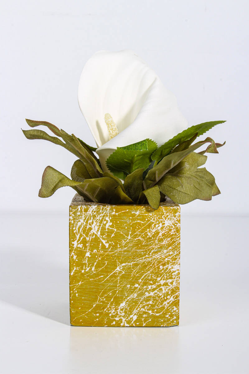 Dikdörtgen Sukulent Beton Taş Tozu Silikon Kalıbı KHB47 - 1