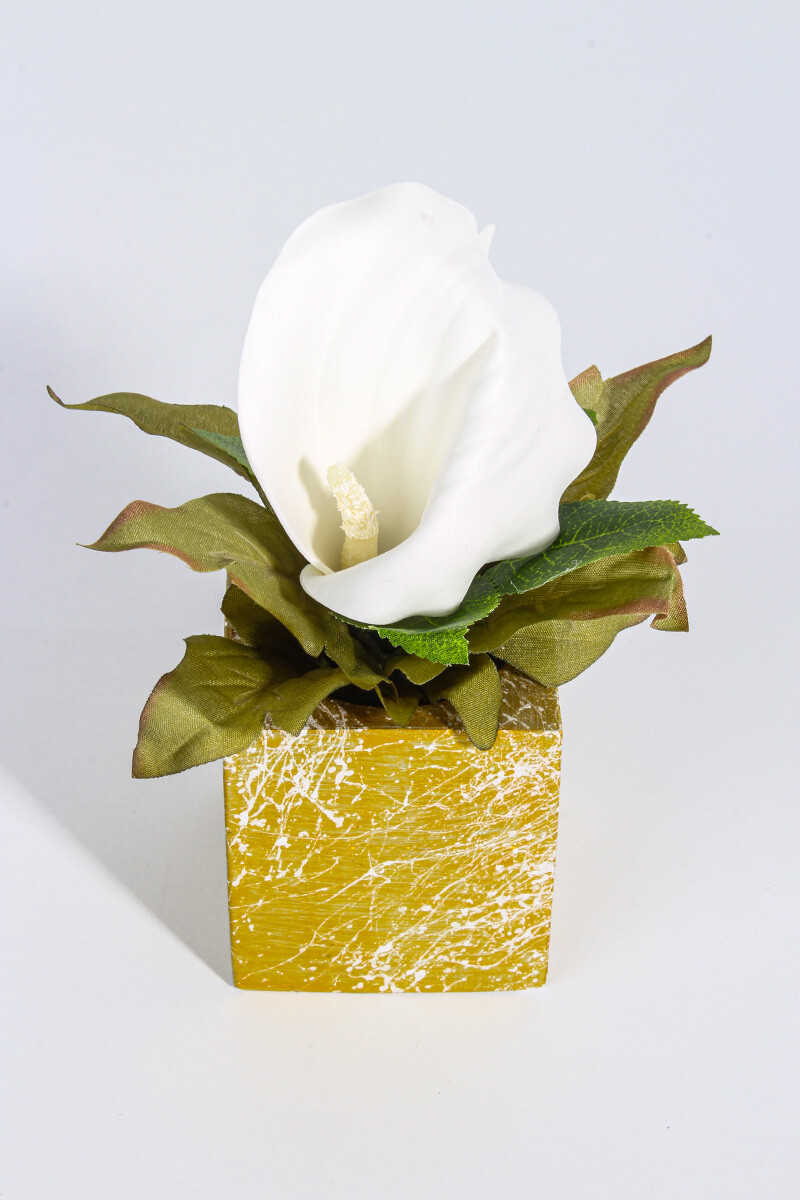 Dikdörtgen Sukulent Beton Taş Tozu Silikon Kalıbı KHB47 - 2