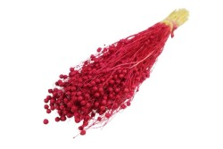 Kırmızı Keten Otu Kuru Çiçek Demeti - 