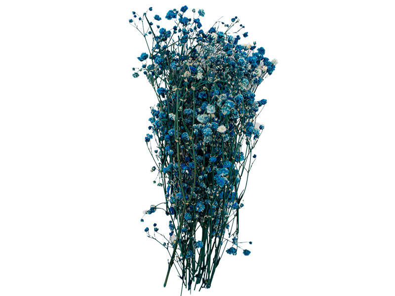 Koyu Turkuaz Şoklanmış Cipso Kuru Çiçek - 1