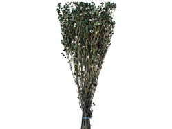 Koyu Yeşil Şoklanmış Cipso Kuru Çiçek - 