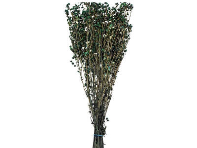 Koyu Yeşil Şoklanmış Cipso Kuru Çiçek - 1