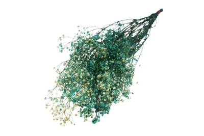 Kuru Çiçek Turkuaz Yeşili Cipso - 1