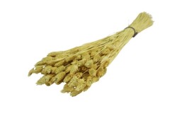 Kuş Otu Kuru Çiçek Demeti - 