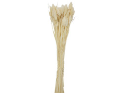 Naturel Kuş Otu Kuru Çiçek Demeti - 