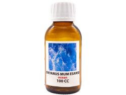 Okyanus Mum Esansı 100ML - 