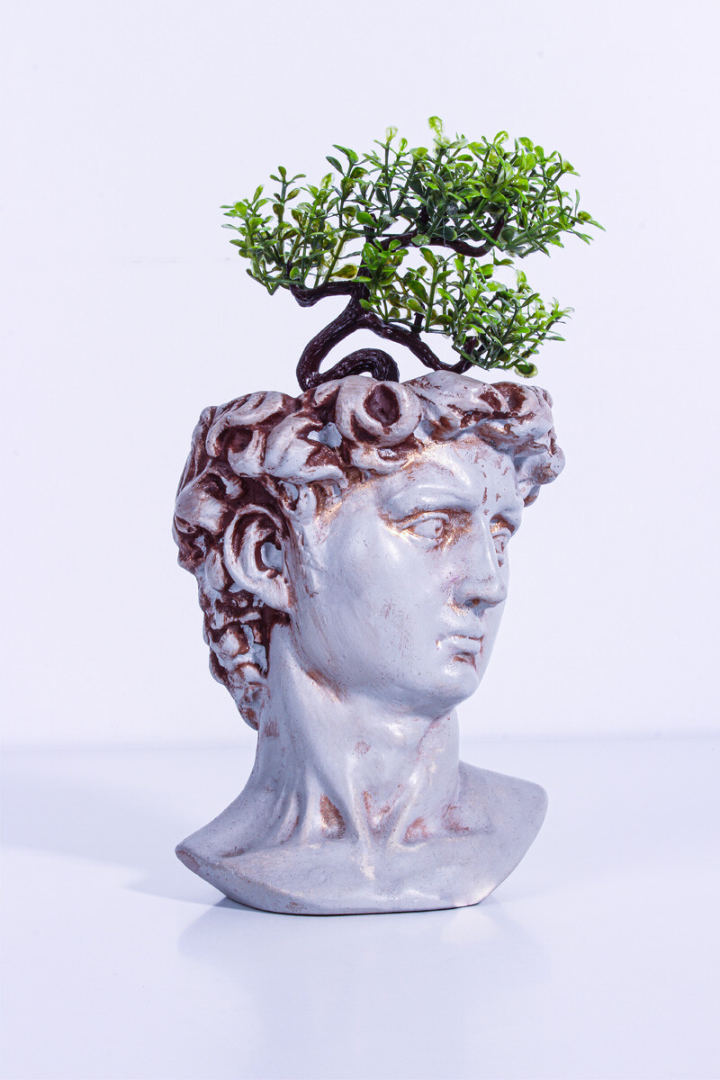 Sezar Büst Sukulent Beton Taş Tozu Silikon Kalıbı KHB27 - 